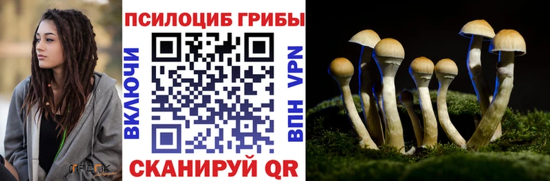 Псилоцибиновые грибы мицелий  ОМГ ОМГ ссылки  Азов 